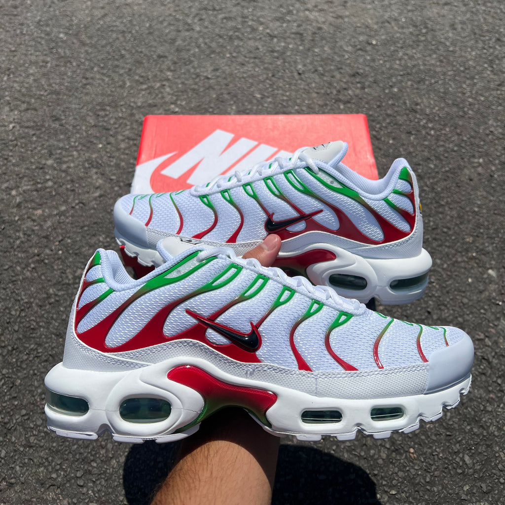 Nike Air Max Plus Tn Italy